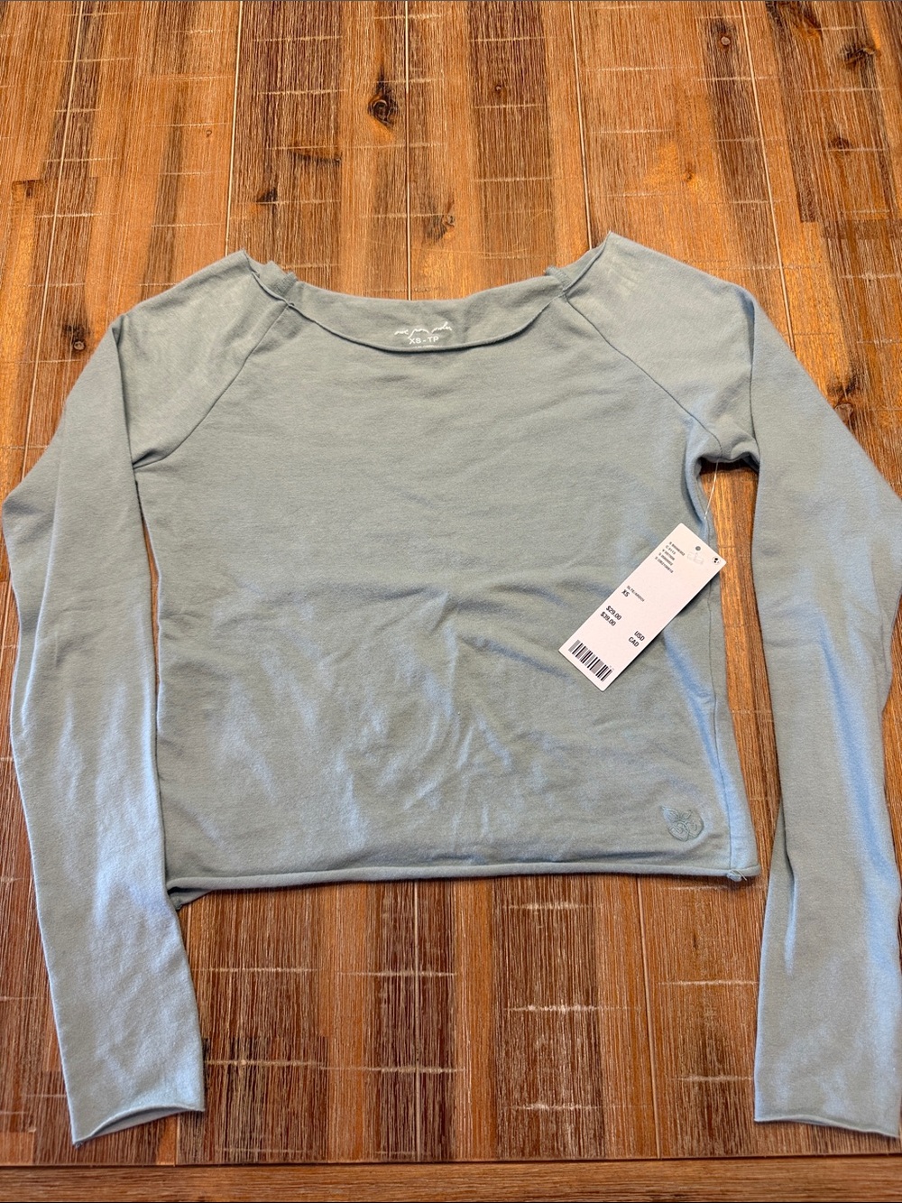 Urban Outfitters Light Sage Long-Sleeve Crop Top